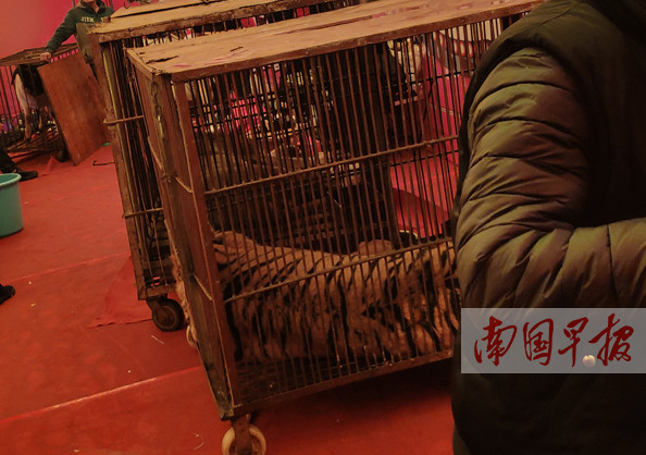 һϷһ㳡ʱ ݳͣ(ͼ)