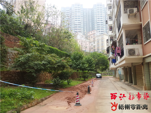 梧州房地产业的发展趋势与市场洞察