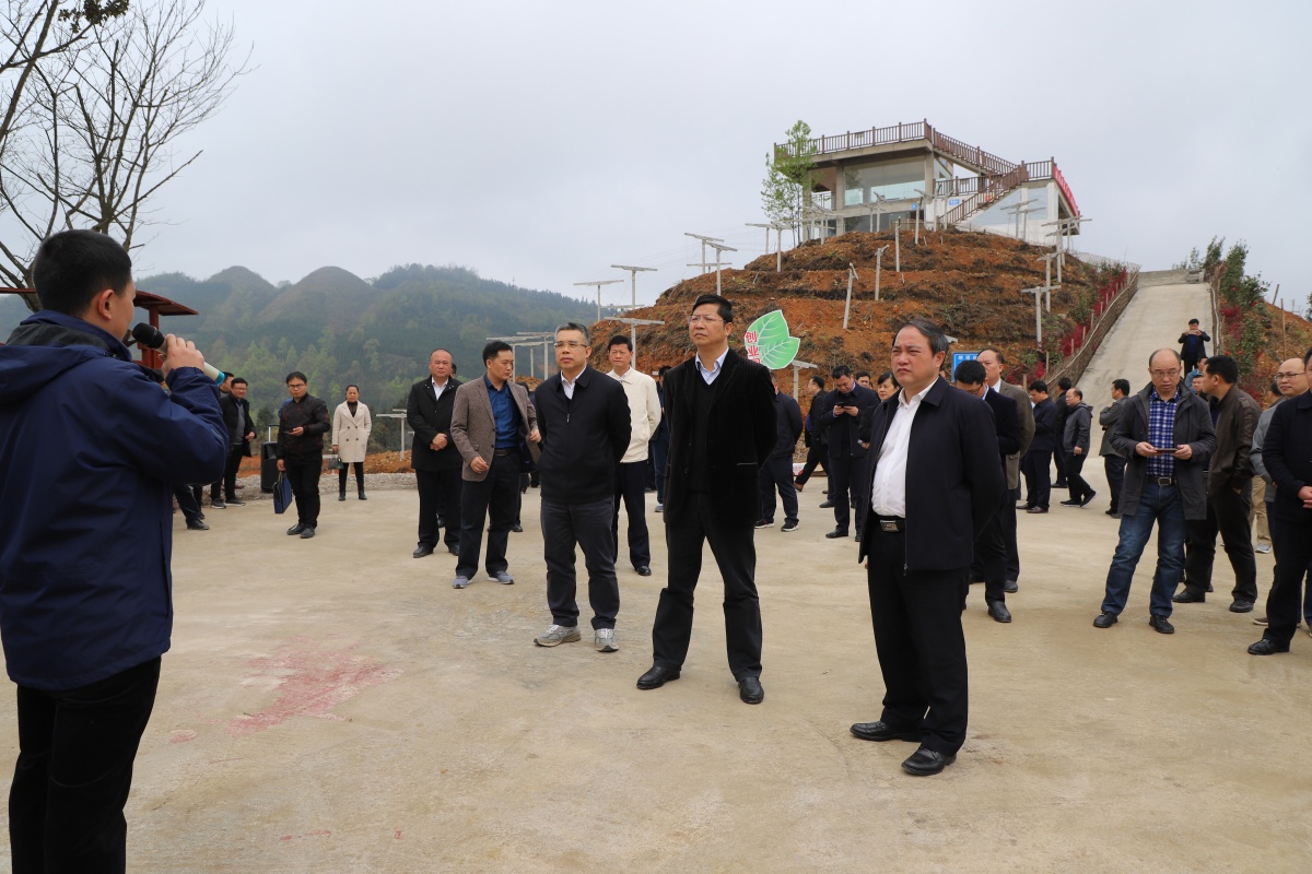 乐业县委宣传部供图图为市委副书记,政法委书记容贤标在会上讲话.