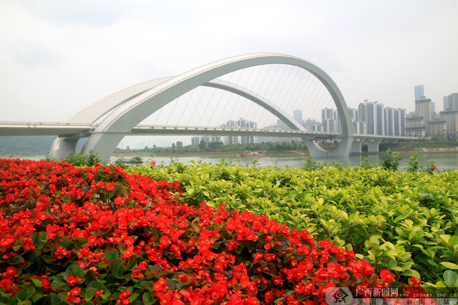 阳春三月 繁花映衬南宁生态美(组图) (1/11)