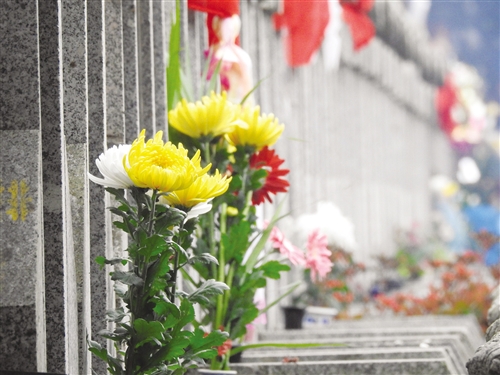 在佛子岭公墓园里,人们用鲜花来寄托哀思 记者 赖有光 摄