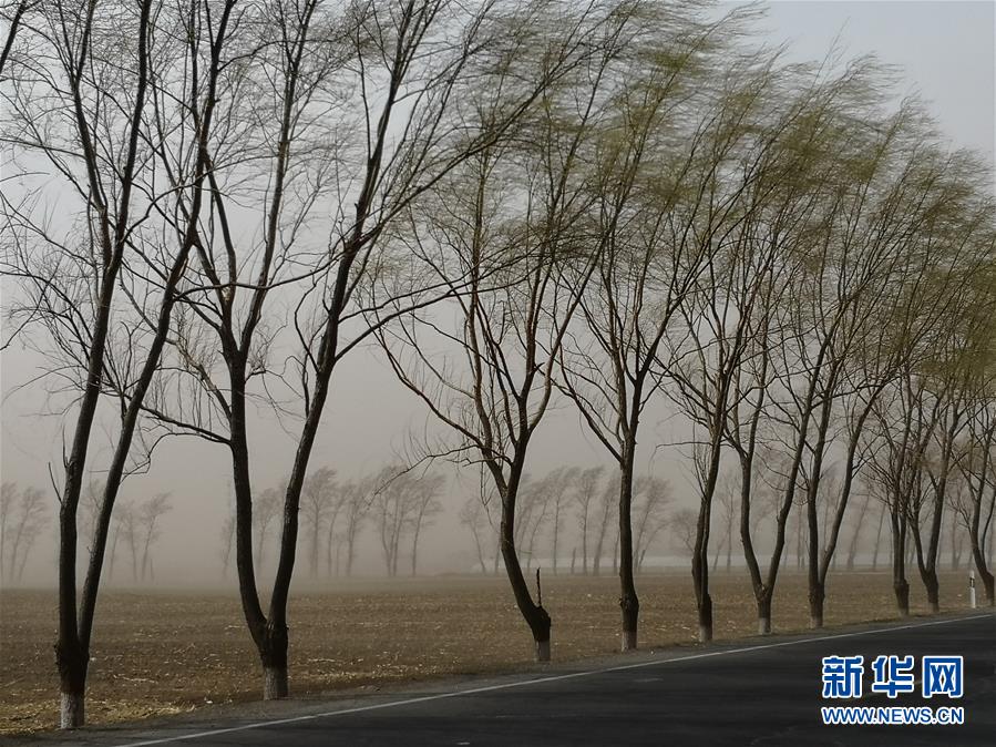 记者来信:黑土地黄沙漫天不可小视