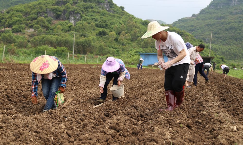 胪岗镇新庆村图片