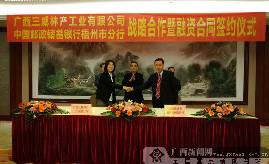梧州金融：在经济发展中绽放新活力