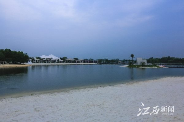 "农业 旅游" 仙凤三宝园打开芦溪乡村振兴致富路