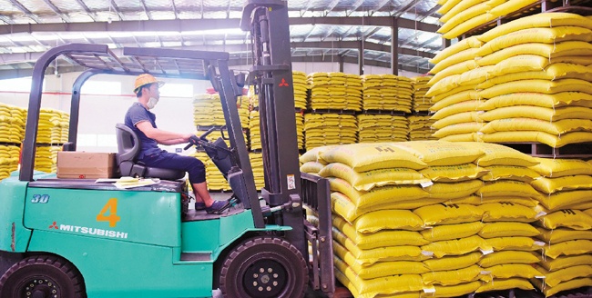 近日,在海大饲料厂内,工人正使用运输车搬运包装好的饲料.