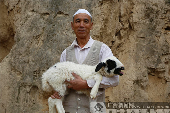 深山里的东乡羊.碧桂园供图