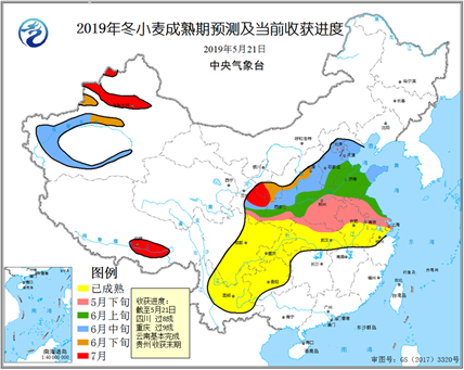 陕西中部,华北中北部冬小麦将于6月中旬成熟;其他冬小麦主产区作