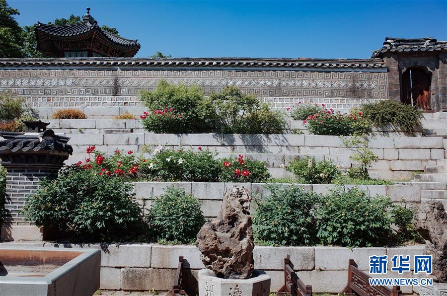 世界园林巡礼——韩国昌德宫