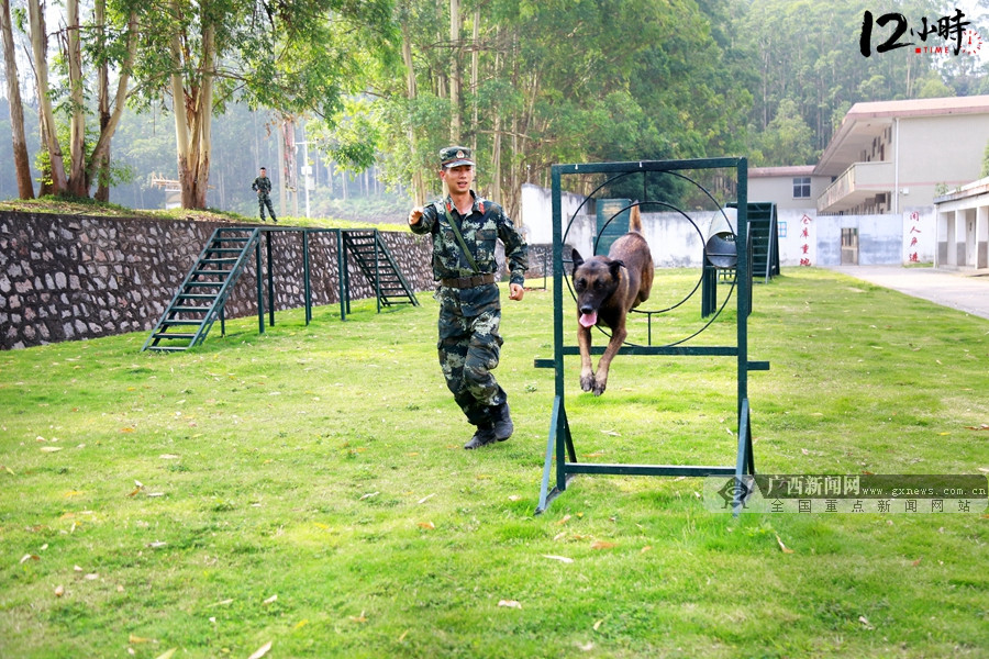 【12小时】训犬员不舍军犬不言退役 曾因"战友"惹女友"吃醋" (5)