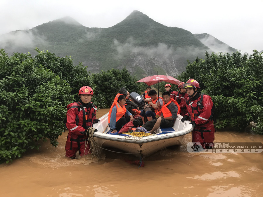 田阳特大案图片