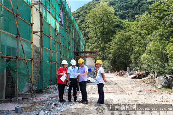 加强项目建设督查力度 促进乐业经济快速发展