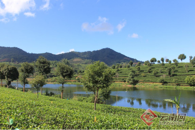 云南墨江县:村民们幸福得像"花"一样