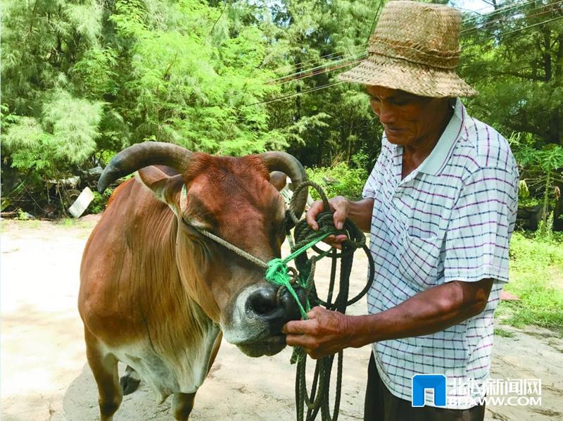 涠洲岛上的"中国好人"陈光权