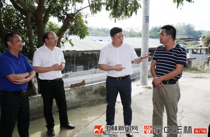 韦韬:坚决抓好非洲猪瘟防控工作_广西新闻网玉林频道