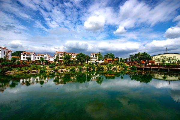 武鸣区:美丽乡村成全域旅游新动力