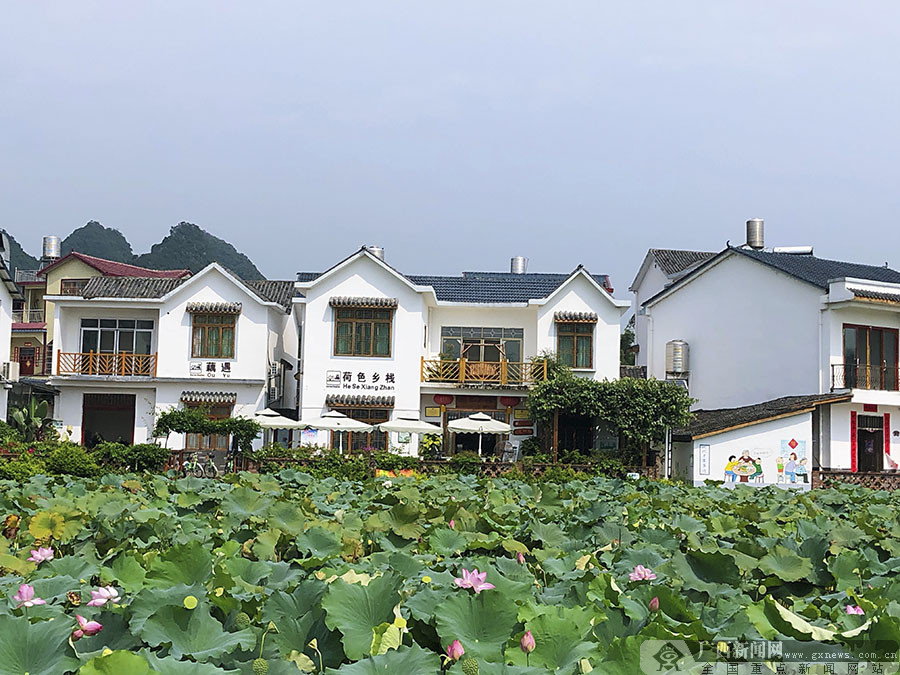 "看美丽乡村 庆70华诞"大型主题直播活动走进鹿寨县大兆村(5/8)