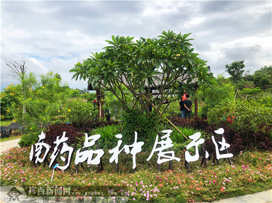 网眼看玉林:五彩田园南药种苗生产中心花果飘香