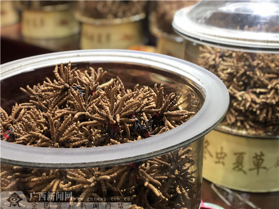 网眼看玉林:玉林银丰国际中药港发展喜人