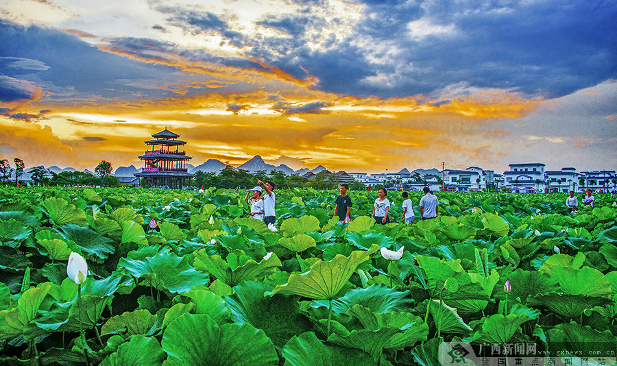 高清广西贵港人杰地灵风景独具特色13