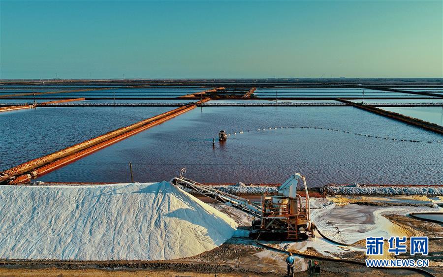 金秋长芦盐池结晶满 (5)