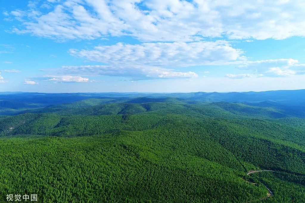 8% 森林资源总价值达200多亿元 荒原变林海 绿色发展理念根植人心