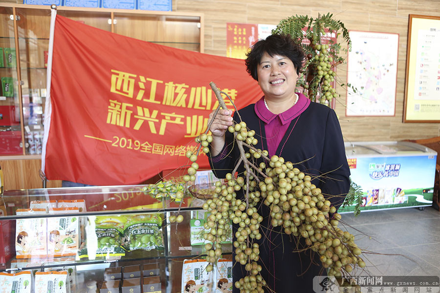 贵港平南小小余甘果开辟乡村振兴致富路