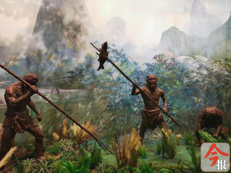 高清组图:柳州白莲洞博物馆新馆揭开神秘面纱