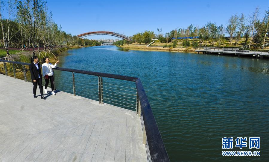 河北霸州:牤牛河综合治理见成效 (2)