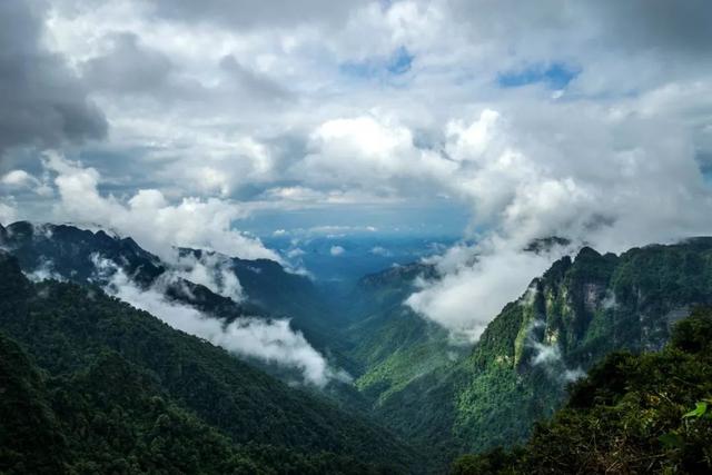 桂鲁书画名家齐聚南宁大明山 以艺术共话中国梦