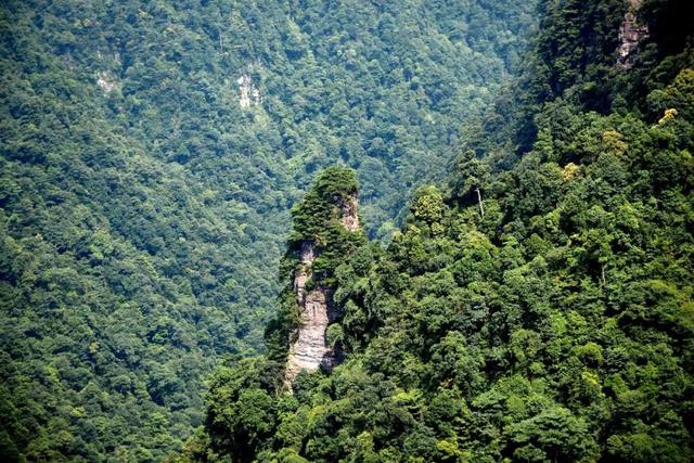 廣西大明山國家級自然保護區 大明山管委會