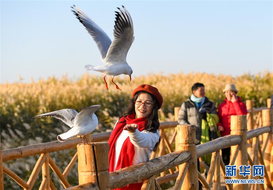 新华社记者 彭源 摄