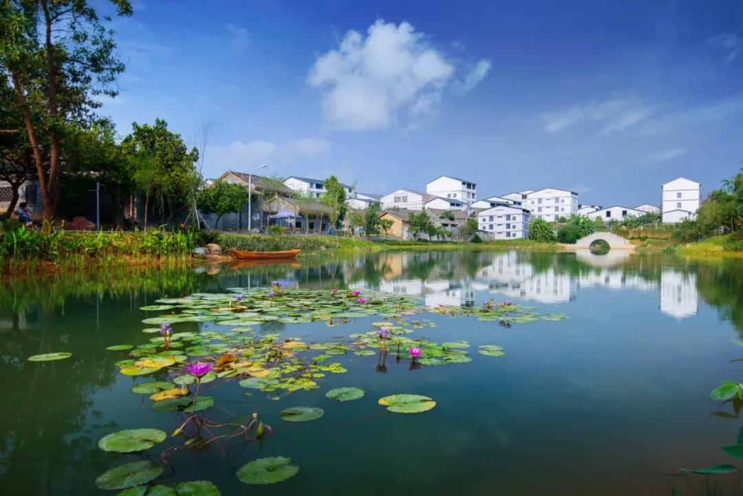 处处皆画境,说的就是西乡塘的全域旅游