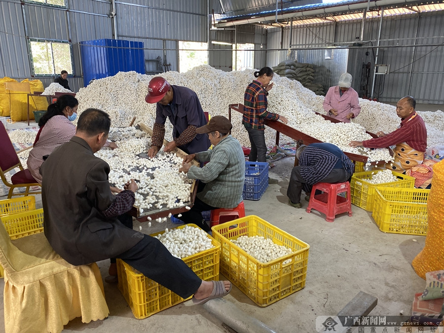 ɽأ׼λҵչ ɣϲҵƶ