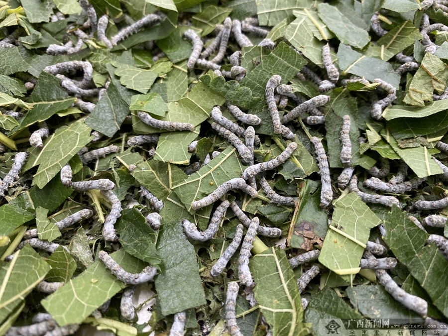 ɽأ׼λҵչ ɣϲҵƶ