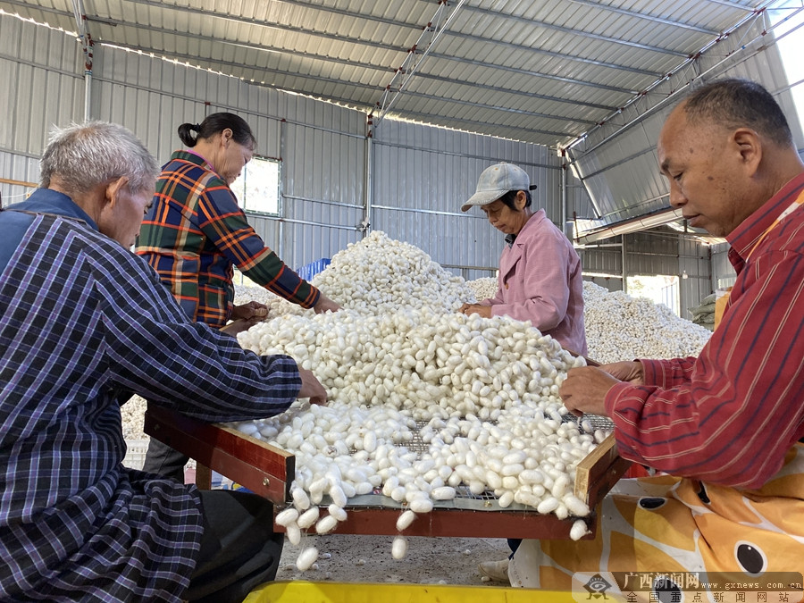 ɽأ׼λҵչ ɣϲҵƶ