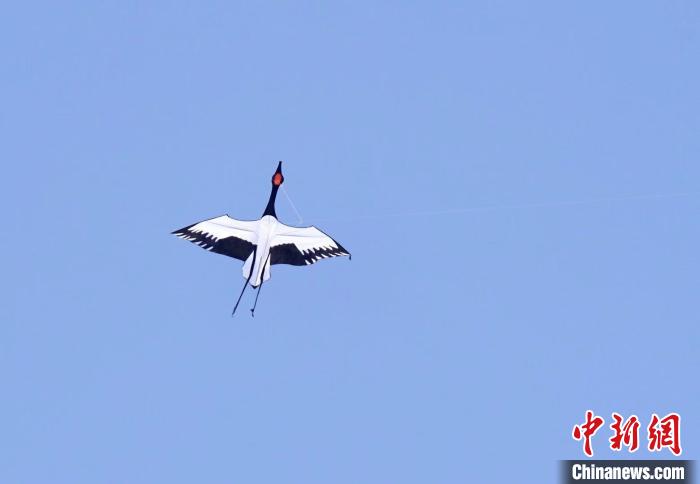 仙鹤造型的风筝很逼真. 孙权 摄