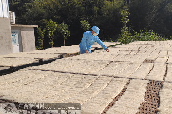 "寻味桂平"走进罗秀 探访罗秀米粉的制作与文化