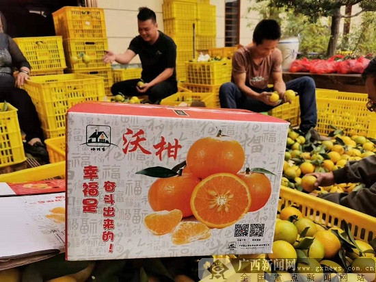 主动融入乡村振兴 博白农信社发放全县81%涉农贷款