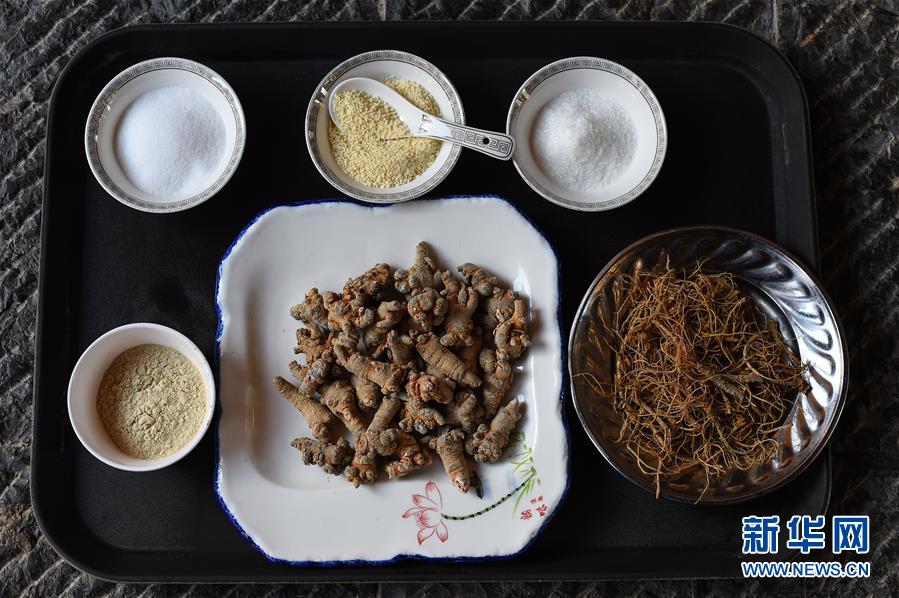 "云三七"成为云南石林县生态农业新名片 (9)