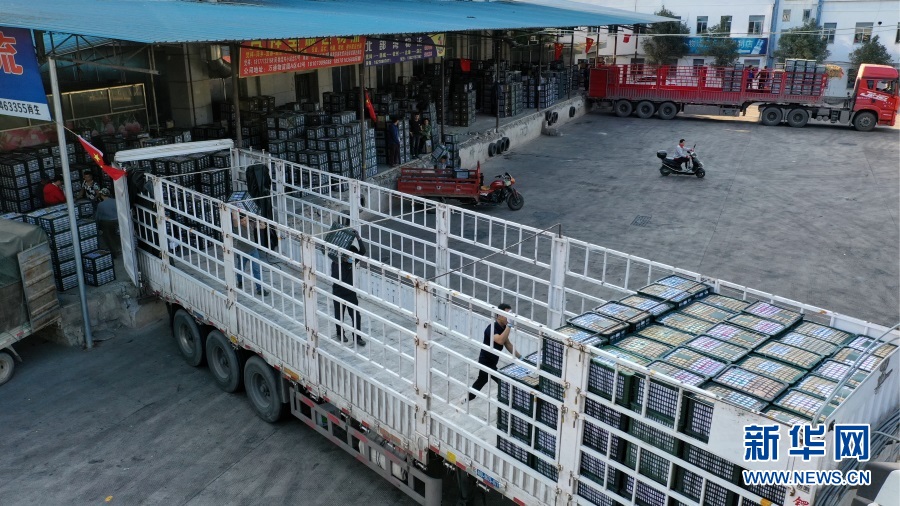 在中国—东盟自由贸易区凭祥物流园内,水果经销商在搬运水果.