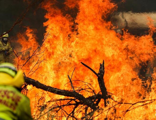 综述:澳大利亚林火肆虐 将设新机构救灾