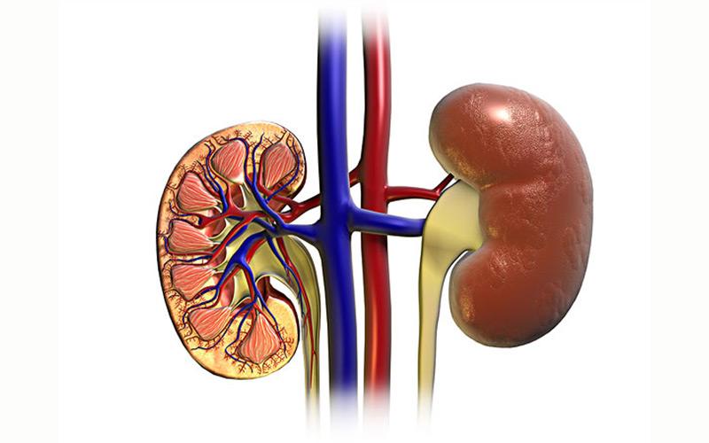 肾衰竭,尿毒症……他与肾病搏斗14年未曾退却