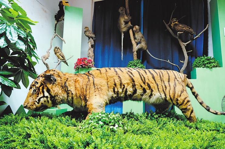 广西科学院生物研究所馆藏12万多件动物标本