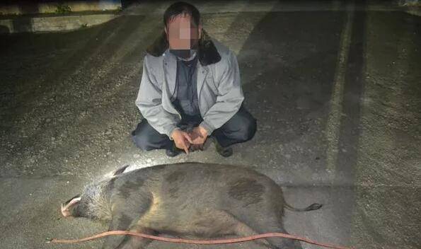 孙某指认打死的野猪.