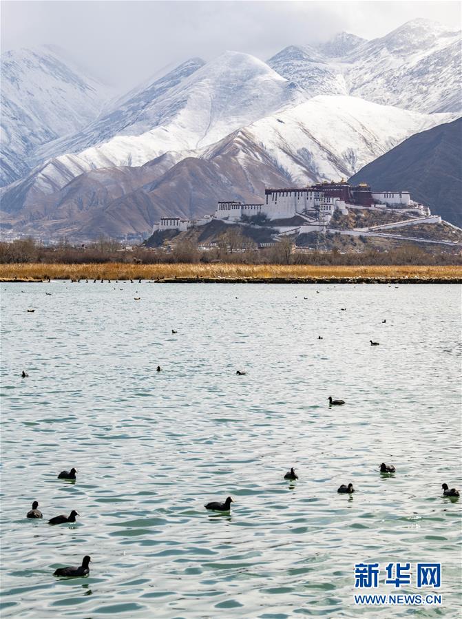 雪后拉萨风光美