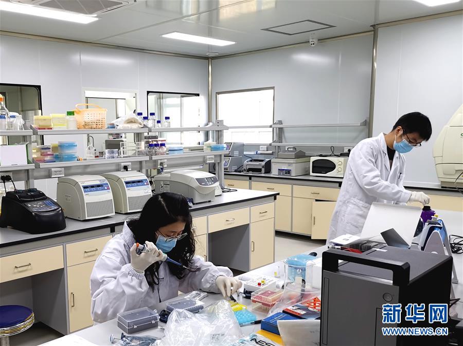 2月16日,武汉大学病毒学国家重点实验室的科研人员在工作.新华社发