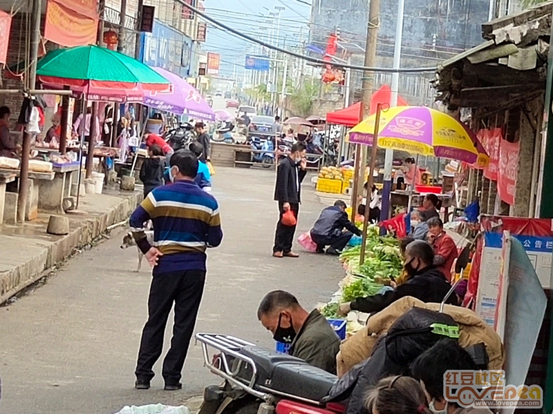 网友反映 致钟山县市场疫情 监管部门,珊瑚镇市场防疫不严 3月3日