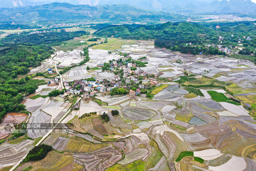 航拍:千亩水稻田与村庄相互映衬 山村田园美如画 (1/6)