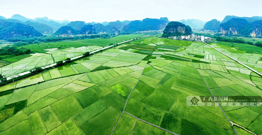 广西上林乡村田园美如画卷